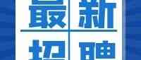 党委办公室党务管理岗招聘启事