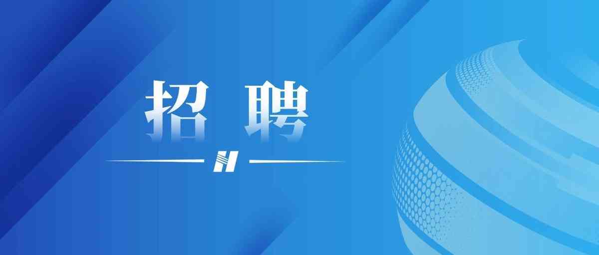 华能2027届实习