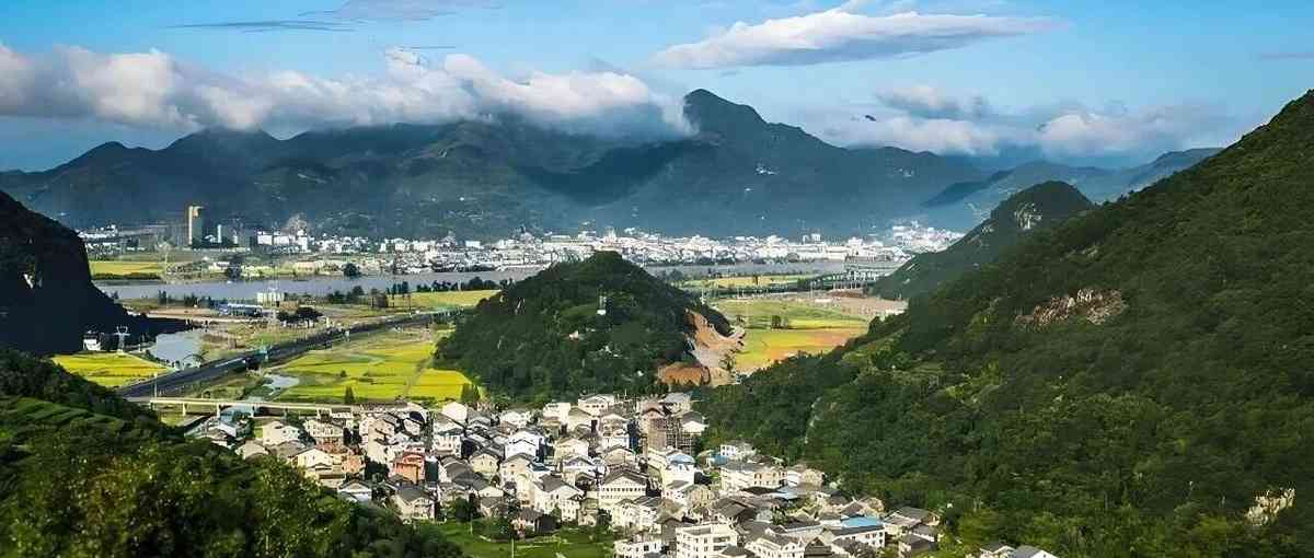 永嘉县事业单位2026年实习