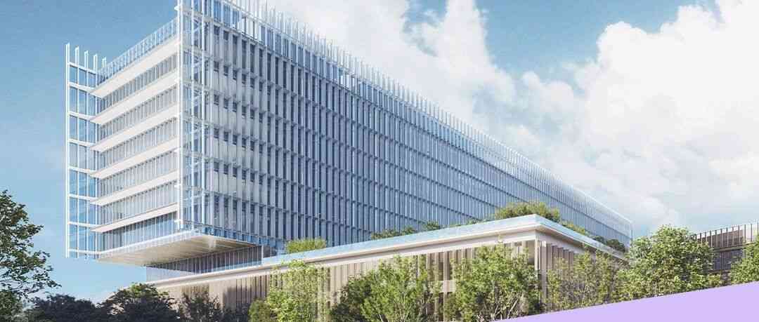 27届寻梦实习招聘,社招