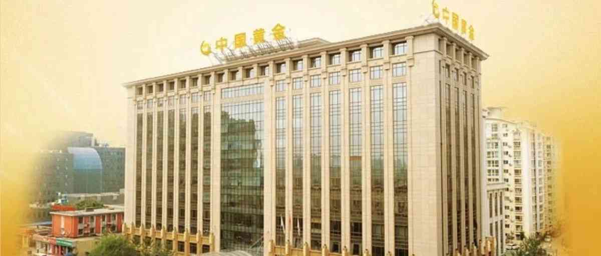 中国黄金集团2026年实习