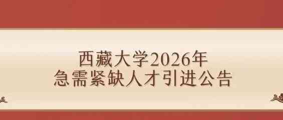 西藏大学2026年实习