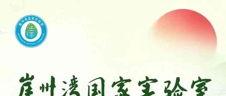 崖州湾实验室2026年实习