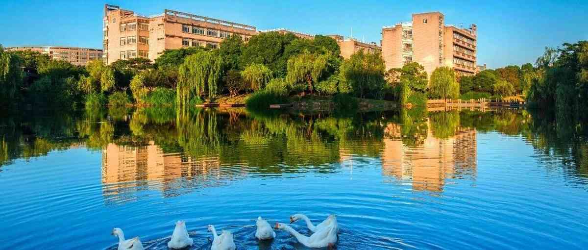 浙江财经大学2026年实习