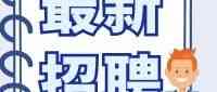 高层次人才网招聘服务
