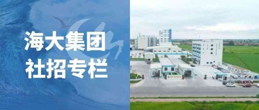 社招