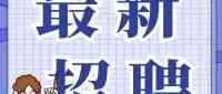 高层次人才引进服务