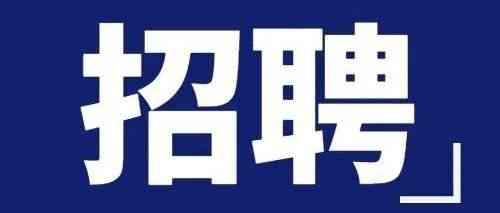 蒙娜丽莎集团26社招