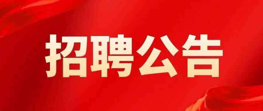 534实习