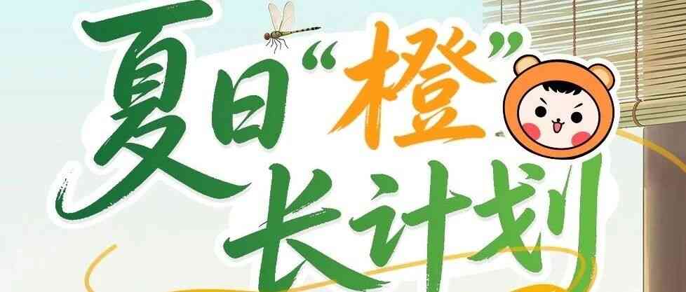 27届实习
