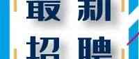 高层次人才网招聘
