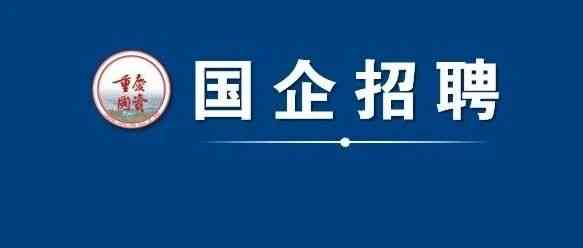 招聘丨重庆机电控股集团动力科技有限公司招聘公告