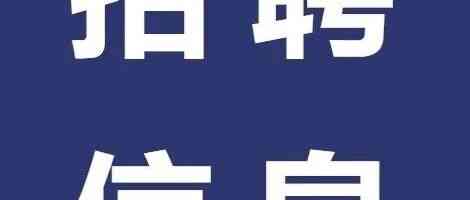2026年实习