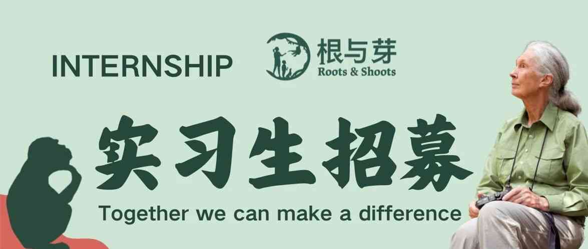 北京根与芽项目实习生招募
