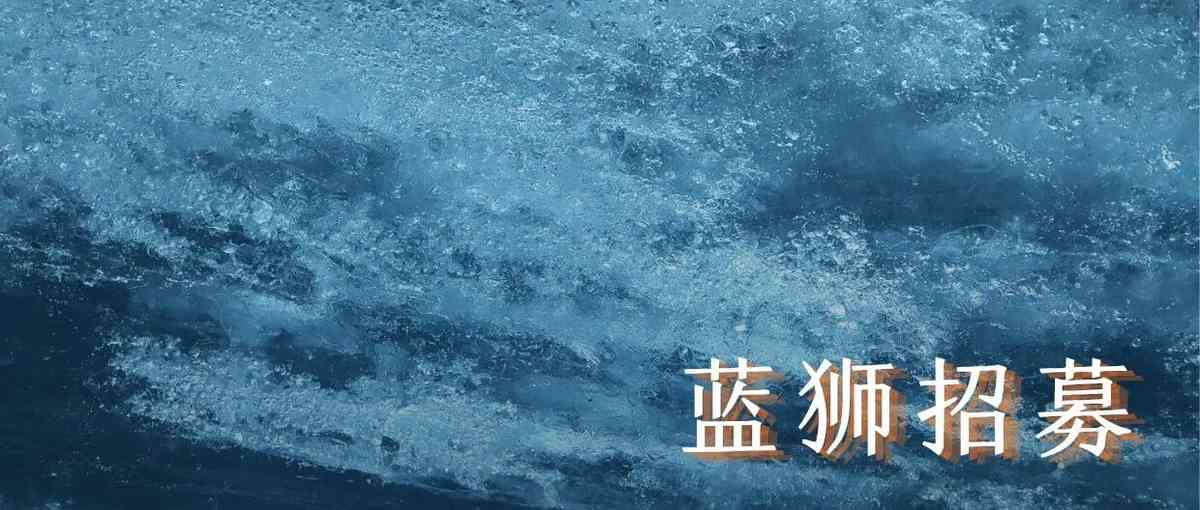 蓝狮资本26社招