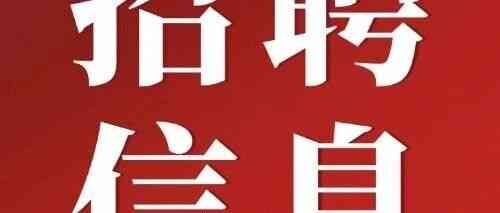 中盐上海2026年实习