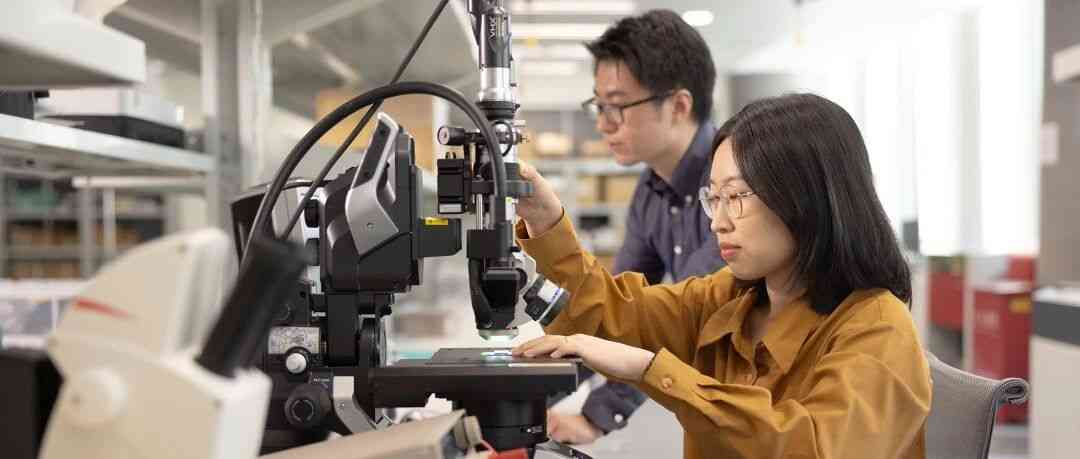 Apple26社招