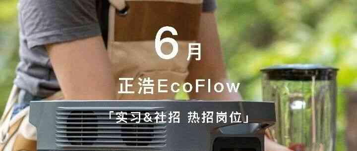 正浩EcoFlow26实习