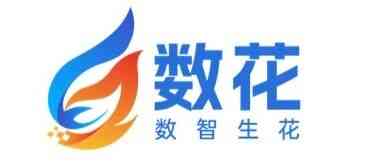 SparkData数花智算日常实习