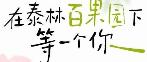 泰林26社招