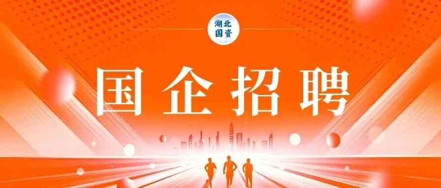 湖北交投集团26社招