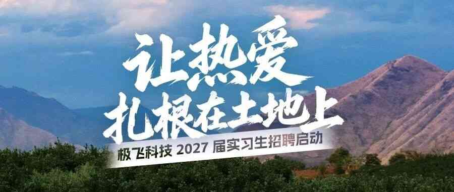 极飞科技日常实习