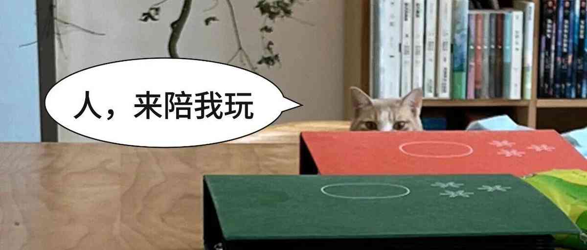 明室实习生招聘火热进行中！