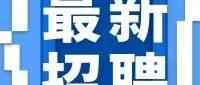 26届校招