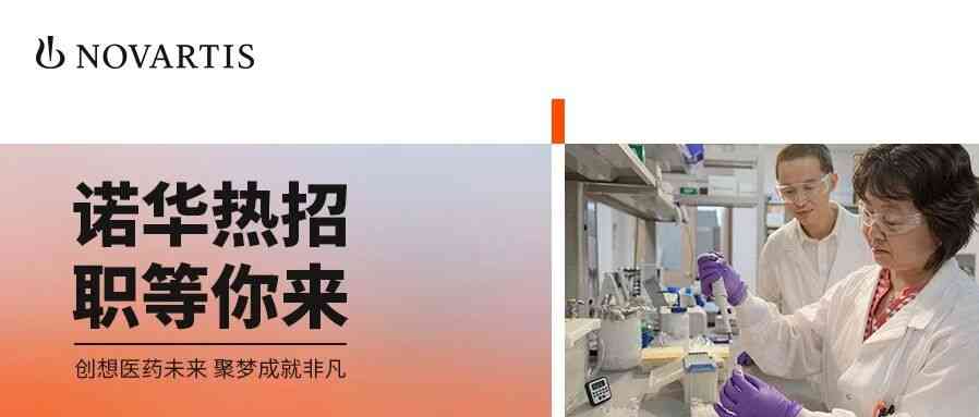 诺华26社招