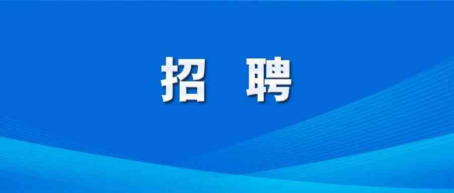 中国融通集团26招聘