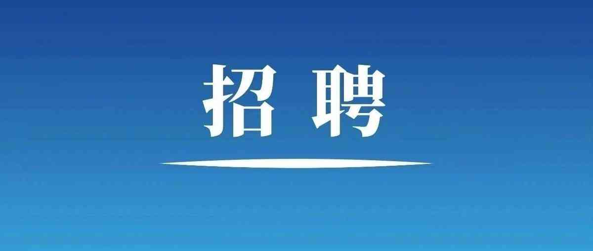 宜宾高投2026年招聘