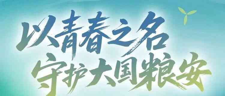 中粮集团有限公司27届实习