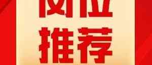 中铝财务26社招