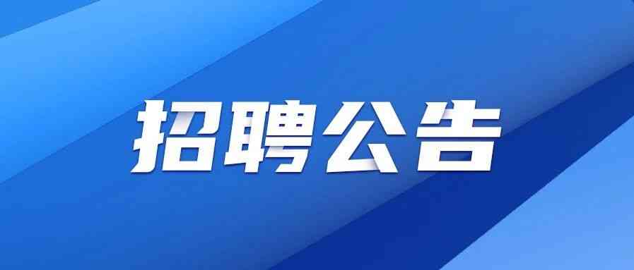 国新集团财务有限责任公司27招聘