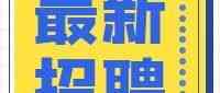 湛江科技学院2026年校招