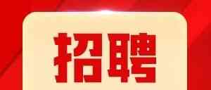 2026年8月招聘