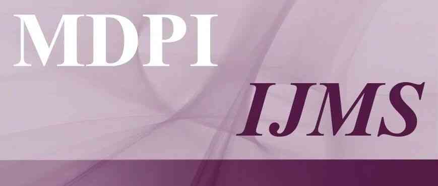 MDPI出版机构2026年社招