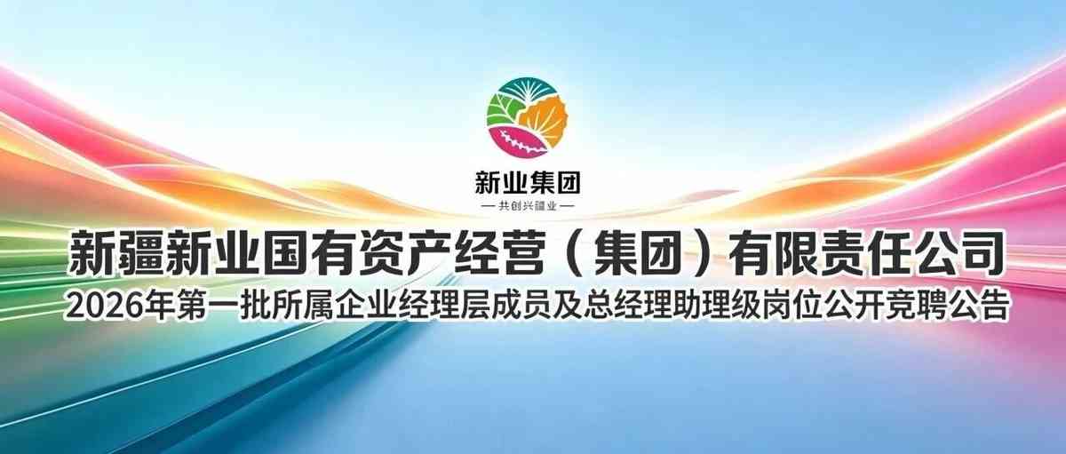 新疆新业集团 26届社招