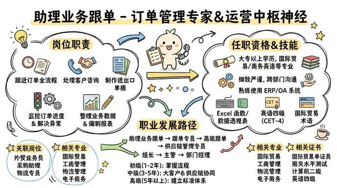 助理业务跟单 - 订单管理专家，企业运营的中枢神经